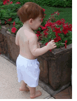 Baby Boxers